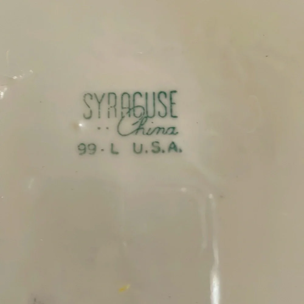 Vintage Syracuse China DOGWOOD Restaurant OVAL‎ SERVING PLATTER